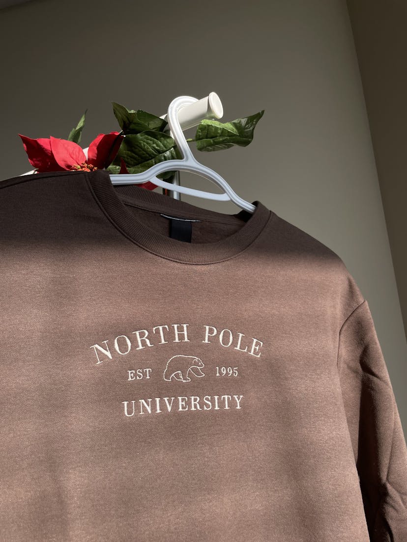 North Pole University image